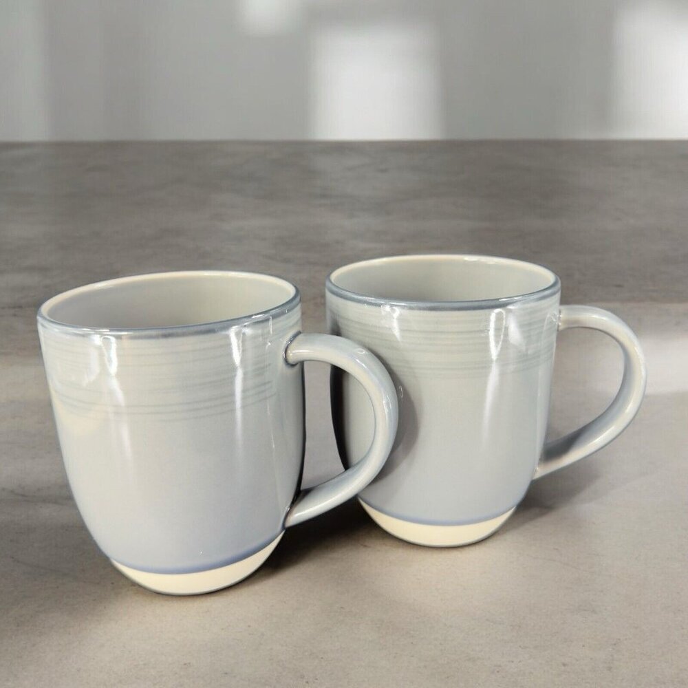 Ellen Degeneres ED By Royal Doulton Gray Brushed Glaze Coffee Cup Mug Set of 2